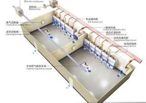 實驗室設計規(guī)劃：創(chuàng)新科學研究空間的關鍵要素